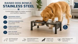 raised dog bowls stainless steel feeder stand for comfortable dog mealtime