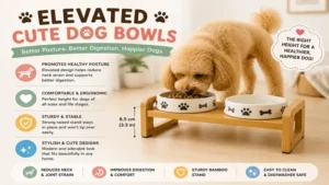 elevated cute dog bowls designed for healthier posture and digestion