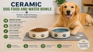 Stylish ceramic dog food and water bowls offering a safe, non-toxic, and attractive feeding solution