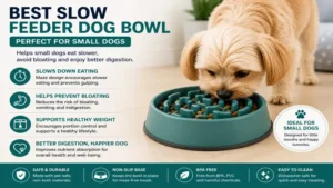 best slow feeder dog bowl helping small dogs eat slower and improve digestion
