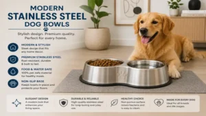 modern dog bowls stainless steel style with sleek design for contemporary homes