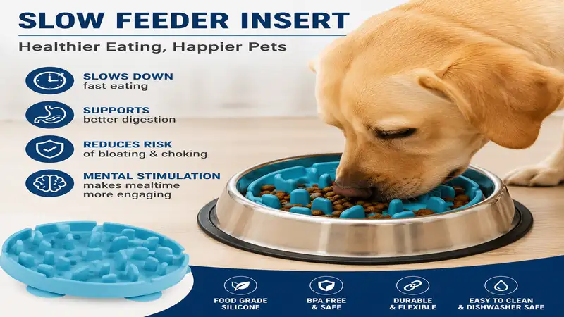 Slow feeder insert placed inside a dog bowl to help reduce fast eating and improve digestion