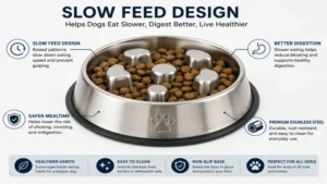Close-up view of a dog bowl to slow eating stainless steel design with raised obstacles that encourage slower food consumption.
