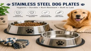Stainless steel dog plates for hygienic and long-lasting pet feeding