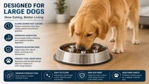 Large dog eating from a dog bowl to slow eating stainless steel product designed for controlled feeding and improved digestion.