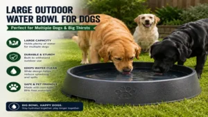 Large outdoor water bowl for dogs providing enough fresh water for multiple dogs.