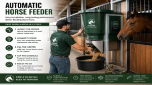 automatic horse feeder installation setup in an equine facility