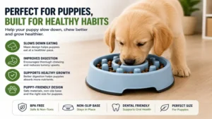 Puppy eating from a dog bowl for fast eaters to develop healthier eating habits.