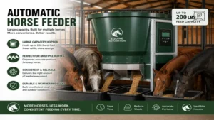 automatic horse feeder featuring a large-capacity hopper for multiple horses