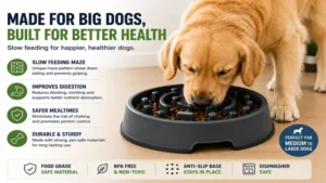 Large dog eating from a dog bowl for fast eaters that helps prevent choking and bloating.