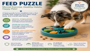 feed puzzle providing mental exercise, healthier eating routines, and engaging daily enrichment for pets of all ages