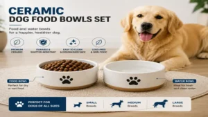 Ceramic dog food bowls set with food and water for dogs