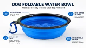 Dog foldable water bowl with an open collapsible silicone design for easy everyday use.