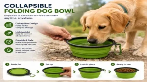 folding dog bowl expanding from a compact collapsible design for food and water outdoors
