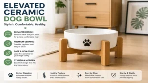 Elevated ceramic dog bowl with a modern wooden stand in a contemporary home.