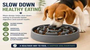 Maze bowl for dogs helping pets eat slowly with a maze pattern that encourages healthier feeding habits.