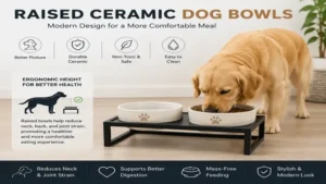 Raised ceramic dog bowls with a modern ergonomic design that promotes a healthier eating posture.