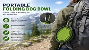 Portable folding dog bowl attached to a backpack with a carabiner for convenient travel