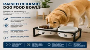 Raised ceramic dog food bowls with a sturdy stand for comfortable feeding
