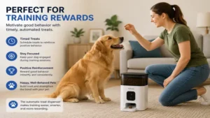 Dog receiving rewards from an automatic treat dispenser during training sessions