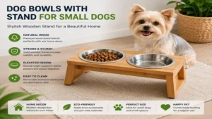 Dog bowls with stand for small dogs designed with a stylish wooden stand for home interiors