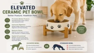 Ceramic pet bowl in an elevated stand that promotes a comfortable feeding position