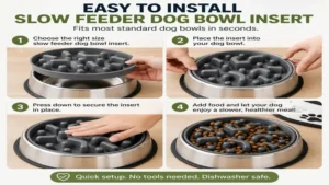 Installing a slow feeder dog bowl insert into a regular dog bowl in just a few seconds.