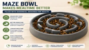 Maze bowl for dogs filled with dry kibble to promote slower eating and better digestion.