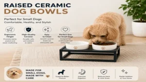 Raised ceramic dog bowls sized perfectly for small dogs to support comfortable daily feeding.