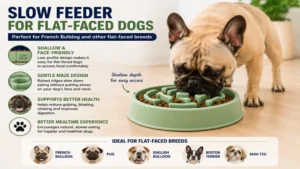 Slow feeder for flat-faced dogs including slow feeder for French Bulldog, with a shallow design for comfortable and healthy eating.