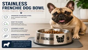Stainless frenchie dog bowl offering durability and easy cleaning for daily use