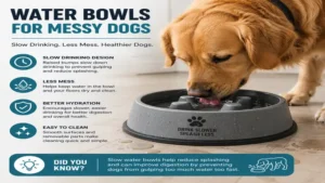 water bowls for messy dogs featuring a slow-drinking design that minimizes splashing and dripping