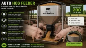Large-capacity auto hog feeder storing feed for multiple pigs