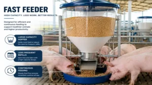Large-capacity fast feeder designed for continuous feeding with fewer refills.