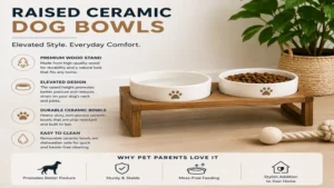 Raised ceramic dog bowls paired with a premium wooden stand for a stylish and durable feeding setup.