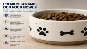Close-up of durable ceramic dog food bowls with a smooth glazed finish