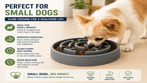 Small dog using maze bowl for dogs during mealtime for safer and slower food consumption.