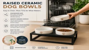 Raised ceramic dog bowls with removable dishwasher-safe bowls that make cleaning quick and effortless.