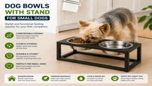 Dog bowls with stand for small dogs placed in a clean modern kitchen for daily feeding