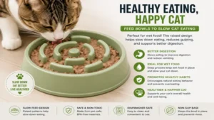 Different styles of feed bowls to slow cat eating for kittens and adult cats with various feeding needs