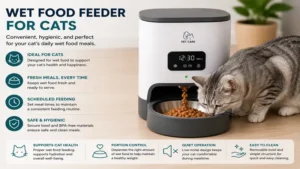 wet food feeder for cats providing hygienic, portion-controlled daily meals.