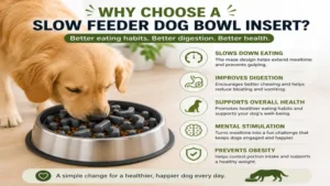 Slow feeder dog bowl insert helping improve digestion and reduce gulping during meals.