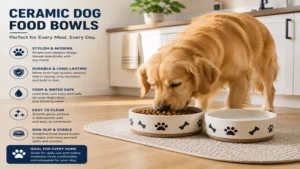Ceramic dog food bowls placed in a modern kitchen for daily pet meals