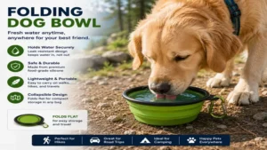folding dog bowl filled with fresh water while a dog drinks during a walk outdoors