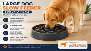 Large dog slow feeder for controlled daily meals and healthier eating habits