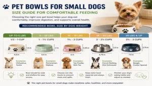 Pet bowls for small dogs size guide showing recommended bowl sizes for different dog weights