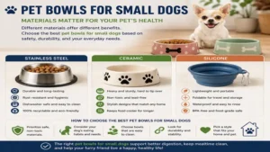 Pet bowls for small dogs compared by stainless steel, ceramic, and silicone materials