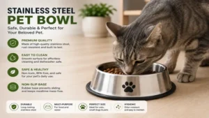 stainless steel pet bowl providing fresh food for an indoor cat