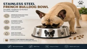 Stainless steel french bulldog bowl with a non-slip base for daily use