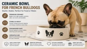 Elegant ceramic french bulldog dog bowl suitable for food or water with a stable design.